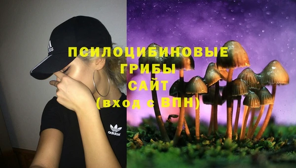 спайс Горнозаводск