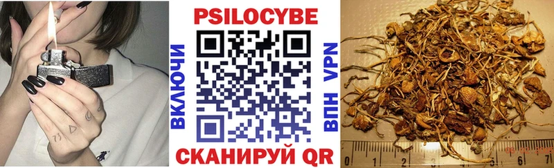 где продают наркотики  Емва  KRAKEN   Галлюциногенные грибы Magic Shrooms 